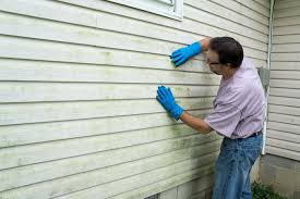 Best Siding Painting and Refinishing  in Millers Falls, MA